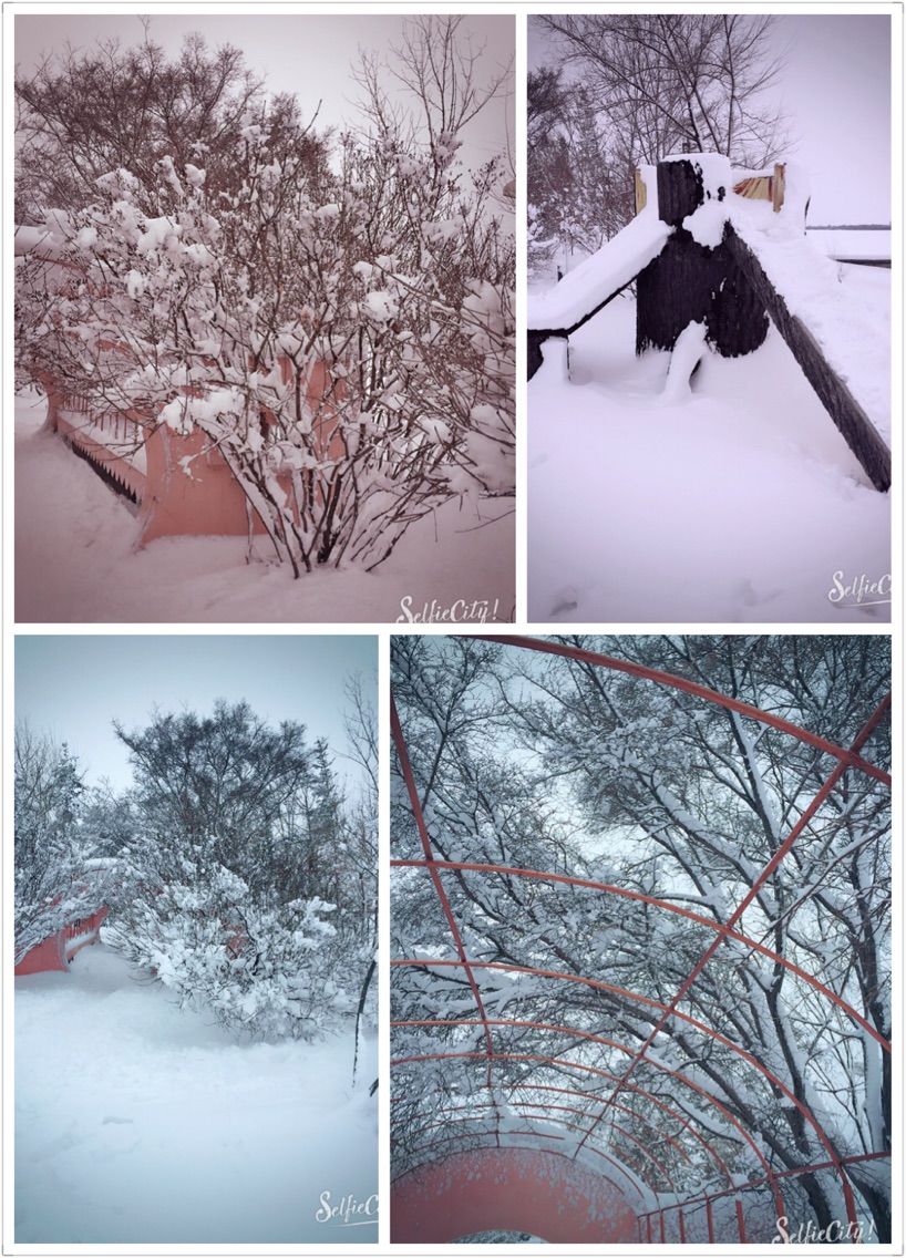 *骑白马的唐僧*的主播照片