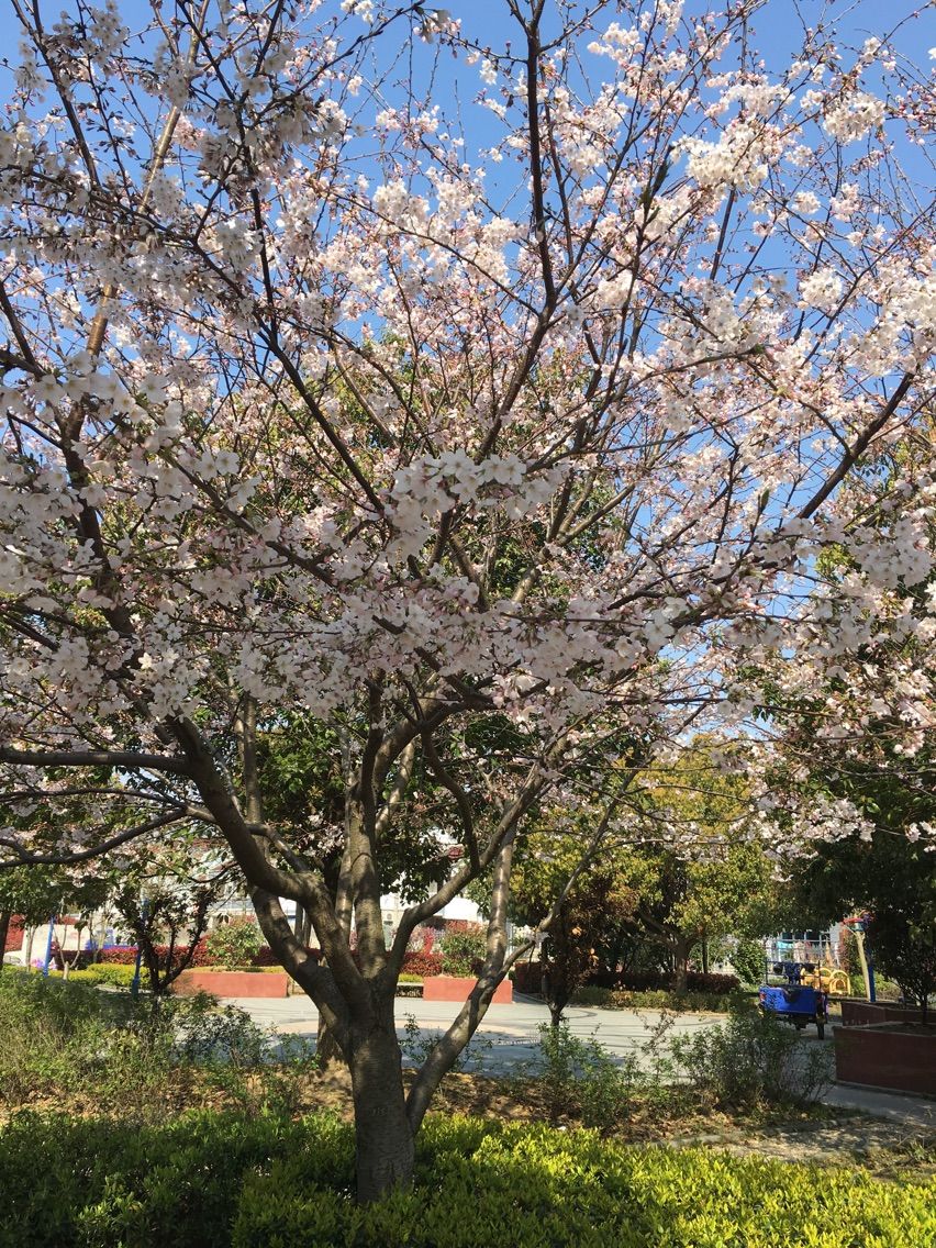 『馨』菇凉的主播照片