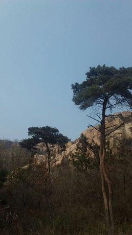 ❤心爱主播照片