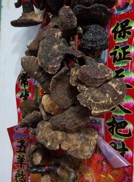 过往皆是浮云主播照片
