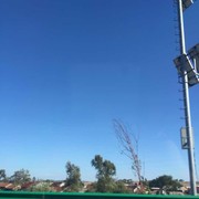 微信_9532115