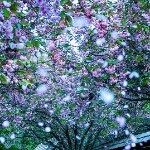 冷死❤心无❤忄❤寈