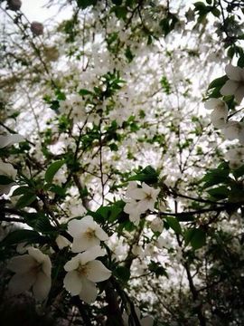 温柔的姑娘！主播照片