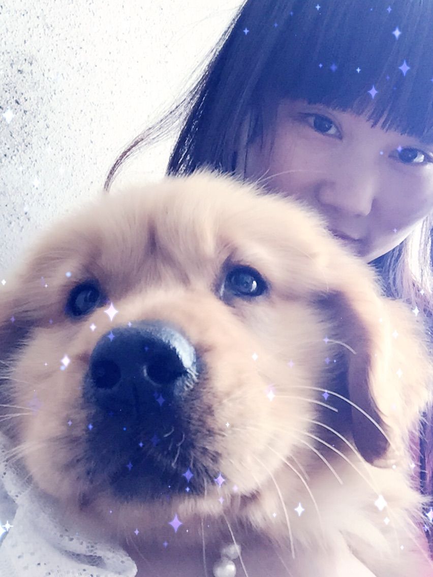 *：.我坏着呢.：*主播照片