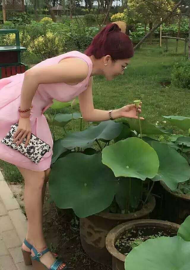 茉莉回来了的主播照片