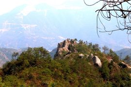 山顶客主播照片
