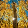 ★☆黎明前的星☆★海报