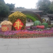 微信V5霸气海报