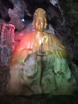 你的冰心回来了主播照片