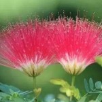 老公要抱抱