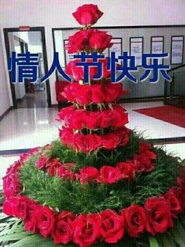 国珍万人迷女神兰兰主播照片