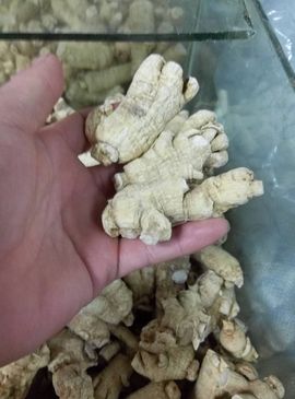 过往皆是浮云主播照片