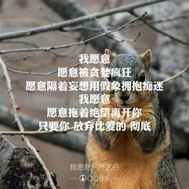 温暖🦌主播照片