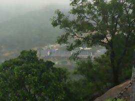 一人走茶凉主播照片