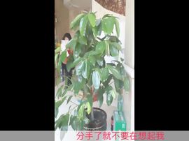 菜团儿主播照片