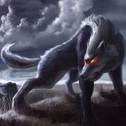 Wolf独宠❤️熊竹