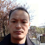 根大不高