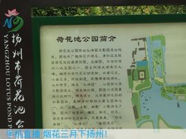 冬寒飞雪、主播照片