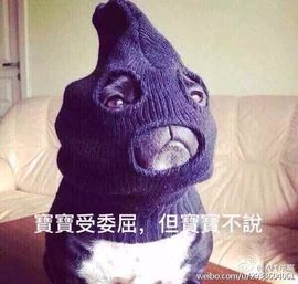❤-维维主播照片