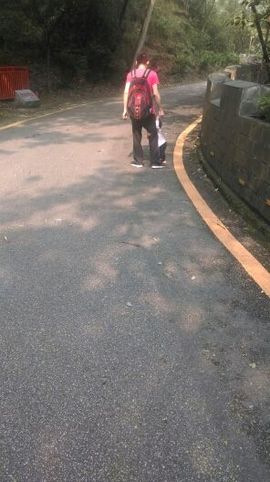 ❤白鹿主播照片