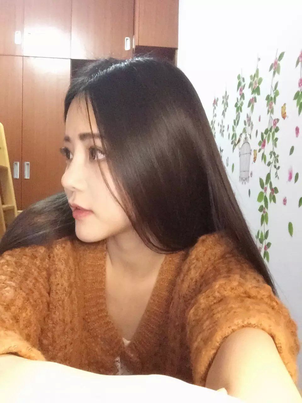 海豚团♪小茜茜的图片