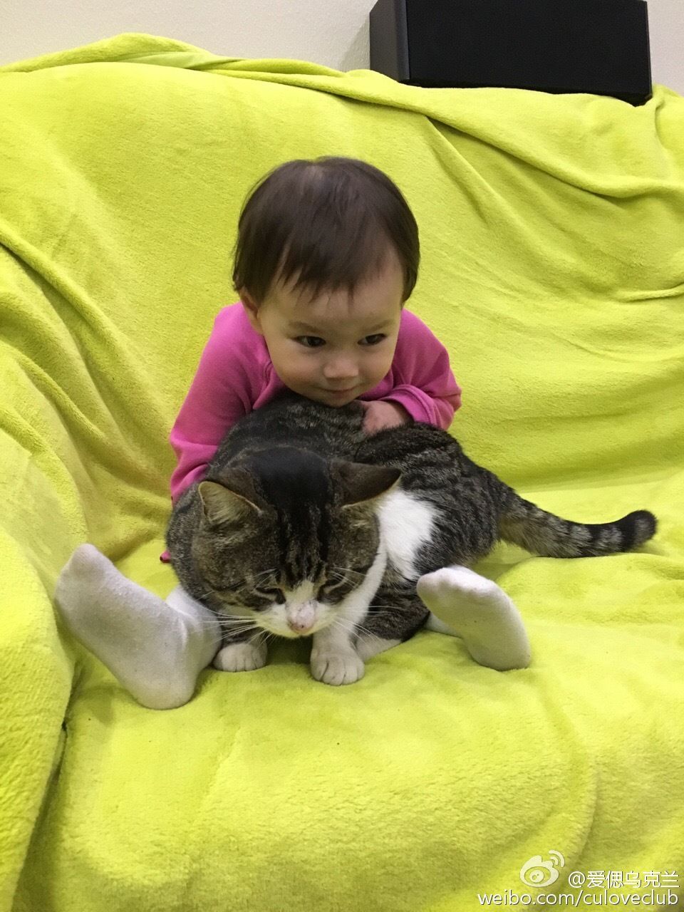 主播有狐臭主播照片