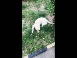 善丶静静的唱歌主播照片