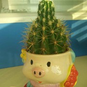 微信_1150583
