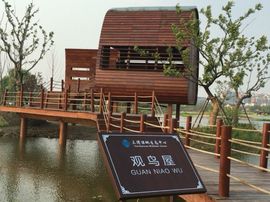 冬寒飞雪、主播照片