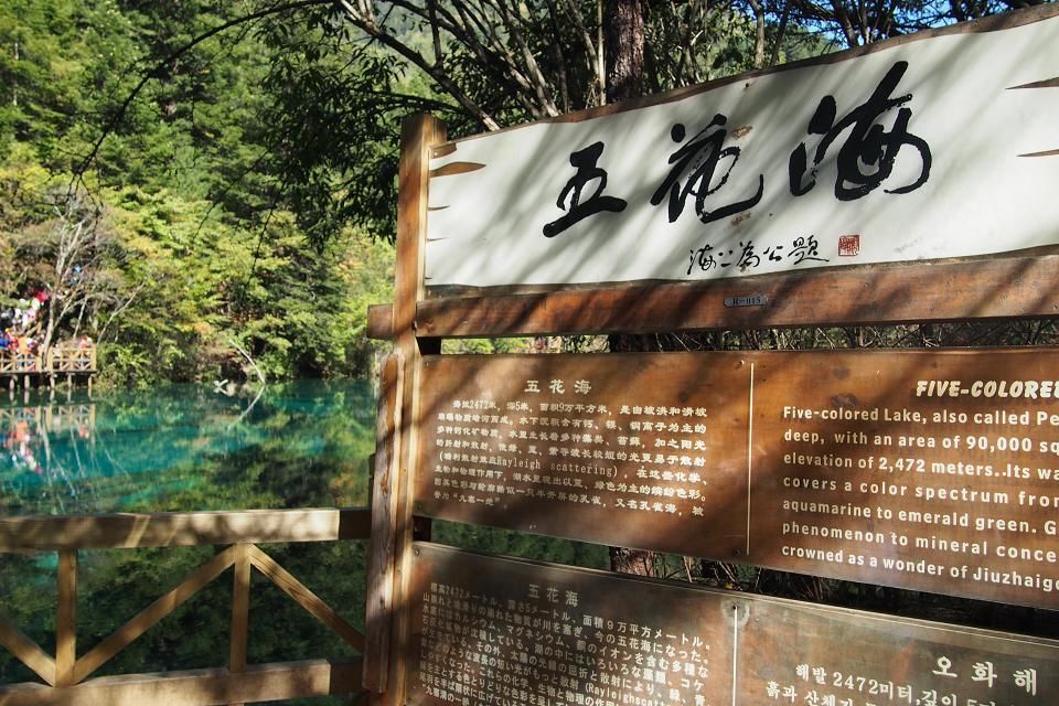 👫鹏鹏主播照片