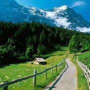 若雪若山的头像