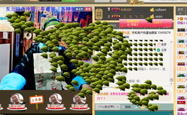 美团小歪哥主播照片