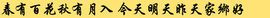 cailu81主播照片