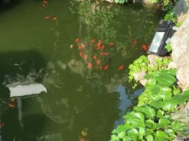 冬寒飞雪、主播照片