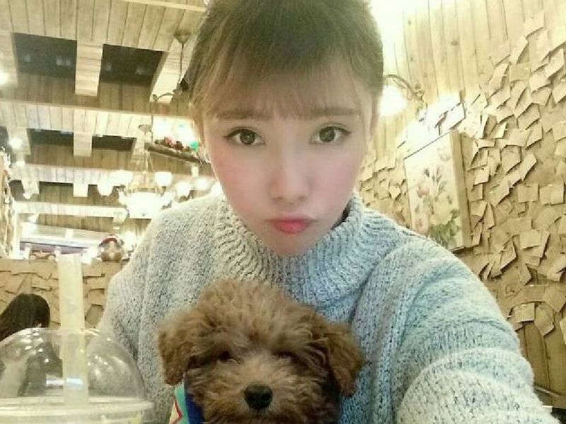 晓艺WD的主播海报