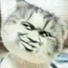 彬彬彬彬哒