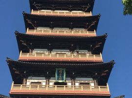 冬寒飞雪、主播照片