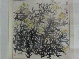 冬寒飞雪、主播照片