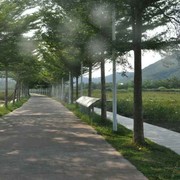 夏日炎冰的头像