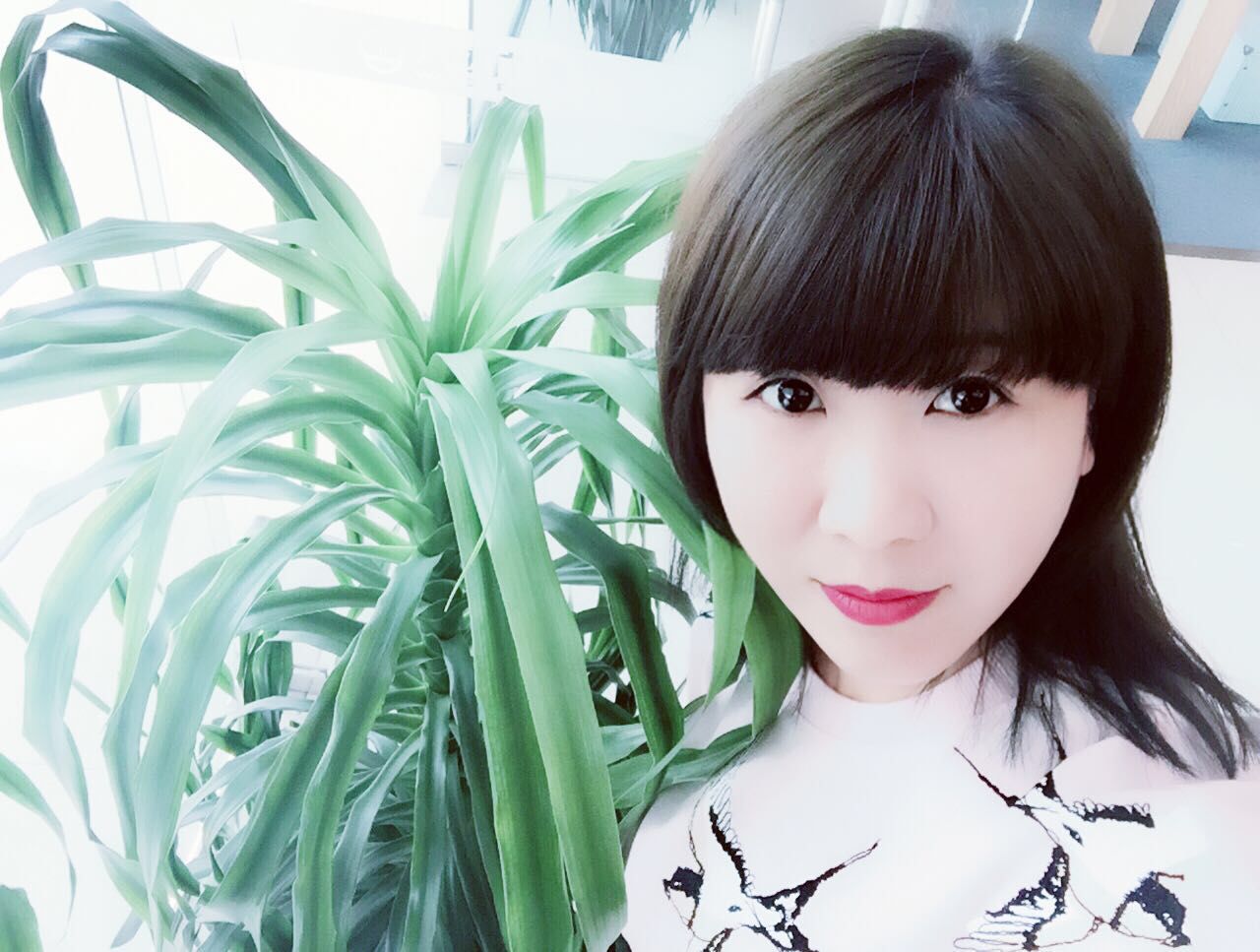 燕子的天空!的主播照片