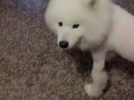 乐文就爱扯淡主播照片