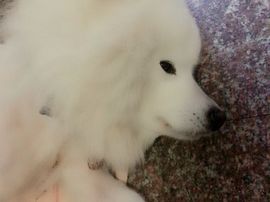 乐文就爱扯淡主播照片