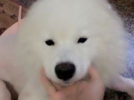 乐文就爱扯淡主播照片