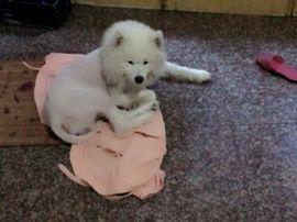 乐文就爱扯淡主播照片