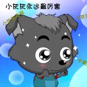 小灰灰最酷