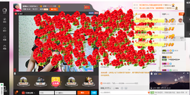 琳琳觉主主播照片