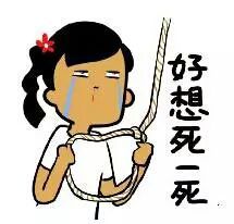 🌺花小宝主播照片
