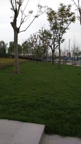 枫亭^O^主播照片