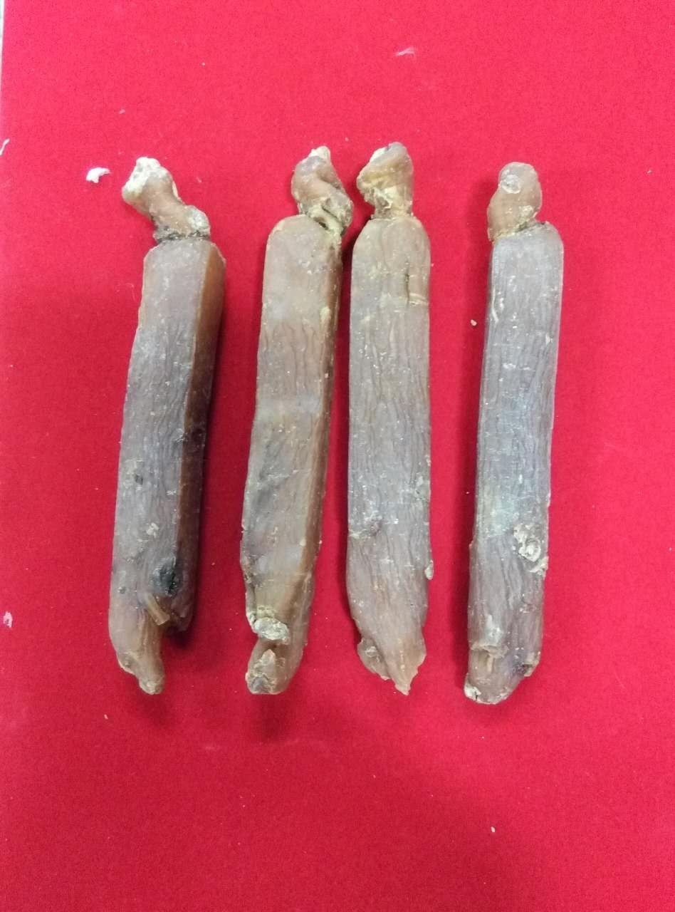 小爽别回头，我是河东的图片