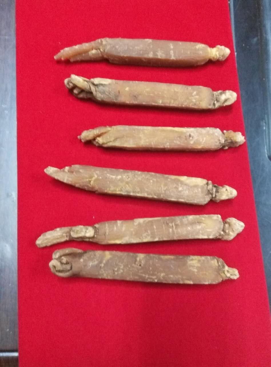 小爽别回头，我是河东的图片